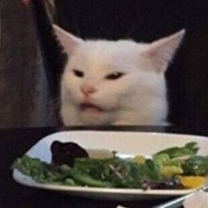 Meet your Posher, Roger